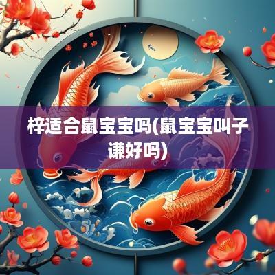梓适合鼠宝宝吗(鼠宝宝叫子谦好吗)