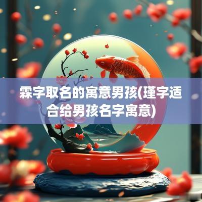 霖字取名的寓意男孩(瑾字适合给男孩名字寓意)
