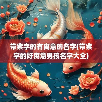 带紫字的有寓意的名字(带紫字的好寓意男孩名字大全)