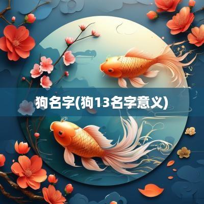狗名字(狗13名字意义)