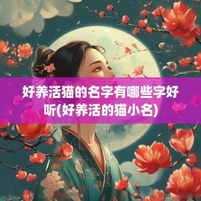 好养活猫的名字有哪些字好听(好养活的猫小名)