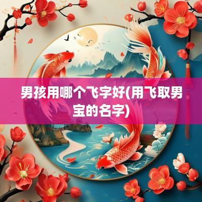 男孩用哪个飞字好(用飞取男宝的名字)