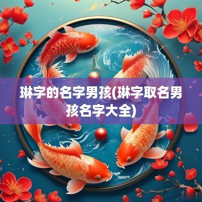 琳字的名字男孩(琳字取名男孩名字大全)
