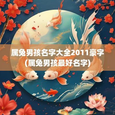 属兔男孩名字大全2011豪字(属兔男孩最好名字)
