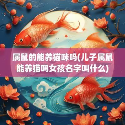 属鼠的能养猫咪吗(儿子属鼠能养猫吗女孩名字叫什么)