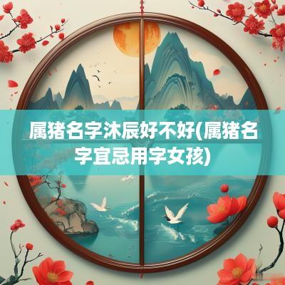 属猪名字沐辰好不好(属猪名字宜忌用字女孩)