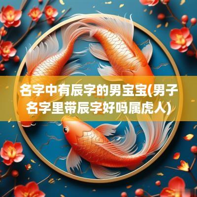 名字中有辰字的男宝宝(男子名字里带辰字好吗属虎人)