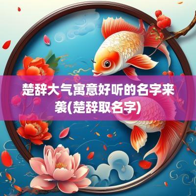 楚辞大气寓意好听的名字来袭(楚辞取名字)