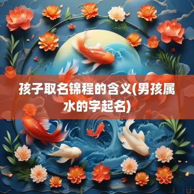 孩子取名锦程的含义(男孩属水的字起名)