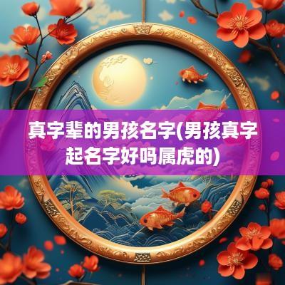真字辈的男孩名字(男孩真字起名字好吗属虎的)