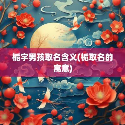 栀字男孩取名含义(栀取名的寓意)