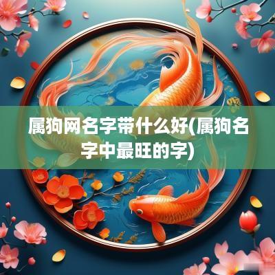 属狗网名字带什么好(属狗名字中最旺的字)