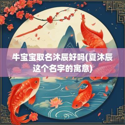 牛宝宝取名沐辰好吗(夏沐辰这个名字的寓意)