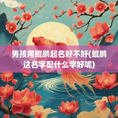 男孩用鲲鹏起名好不好(鲲鹏这名字配什么字好呢)