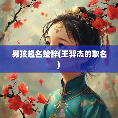 男孩起名楚辞(王羿杰的取名)