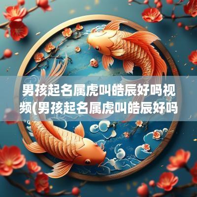 男孩起名属虎叫皓辰好吗视频(男孩起名属虎叫皓辰好吗)