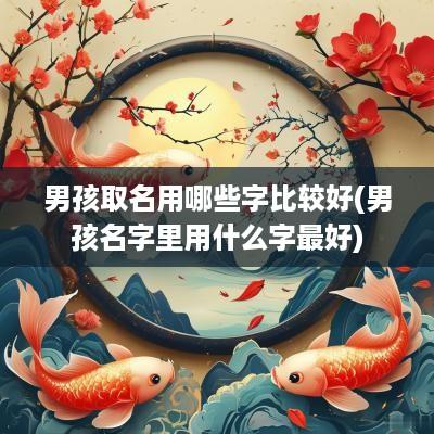 男孩取名用哪些字比较好(男孩名字里用什么字最好)