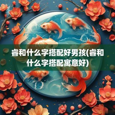 睿和什么字搭配好男孩(睿和什么字搭配寓意好)