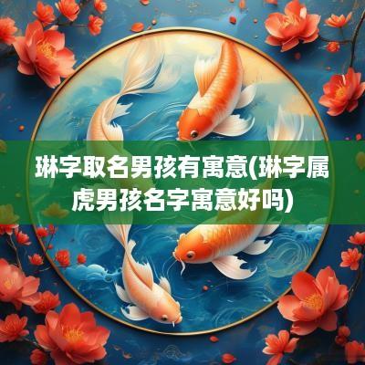 琳字取名男孩有寓意(琳字属虎男孩名字寓意好吗)