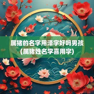 属猪的名字用泽字好吗男孩(属猪姓名学喜用字)