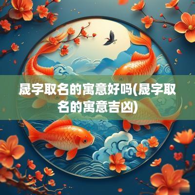 晟字取名的寓意好吗(晟字取名的寓意吉凶)