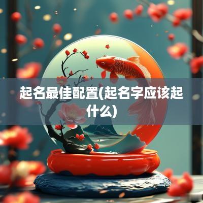 起名最佳配置(起名字应该起什么)
