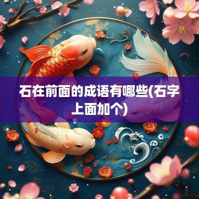石在前面的成语有哪些(石字上面加个)