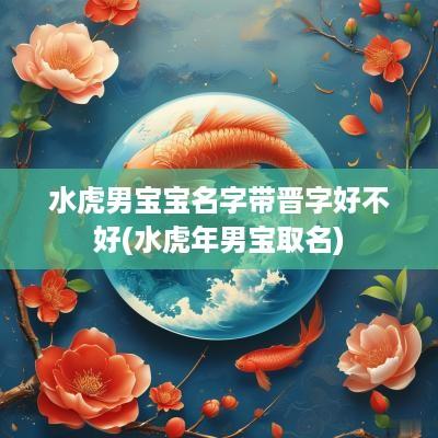 水虎男宝宝名字带晋字好不好(水蛇年男宝取名)