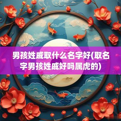 男孩姓戚取什么名字好(取名字男孩姓戚好吗属虎的)