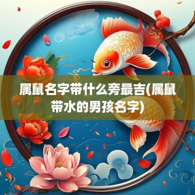 属鼠名字带什么旁最吉(属鼠带水的男孩名字)