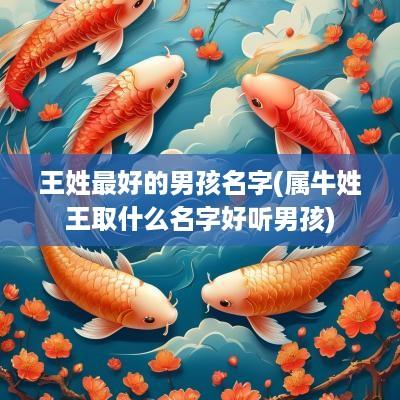 王姓最好的男孩名字(属牛姓王取什么名字好听男孩)