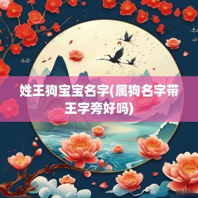 姓王狗宝宝名字(属狗名字带王字旁好吗)