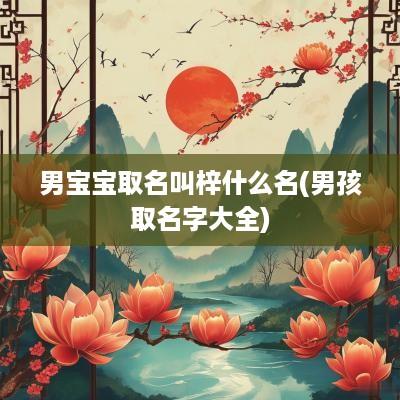 男宝宝取名叫梓什么名(男孩取名字大全)