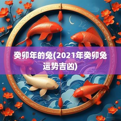 癸卯年的兔(2025年癸卯兔运势吉凶)