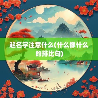 起名字注意什么(什么像什么的排比句)