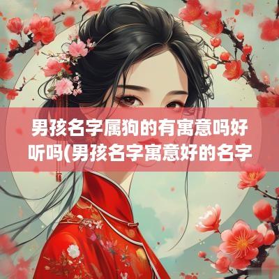 男孩名字属狗的有寓意吗好听吗(男孩名字寓意好的名字)