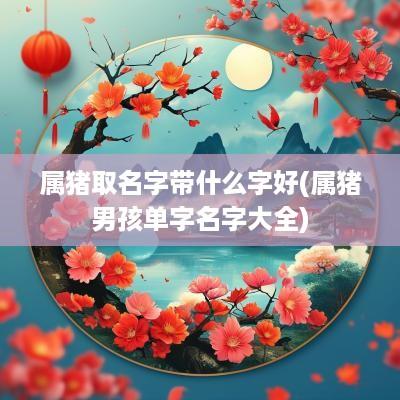 属猪取名字带什么字好(属猪男孩单字名字大全)