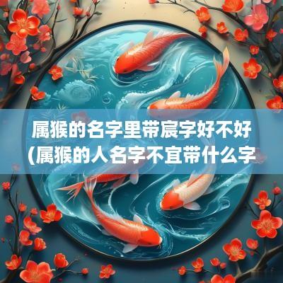 属猴的名字里带宸字好不好(属猴的人名字不宜带什么字)