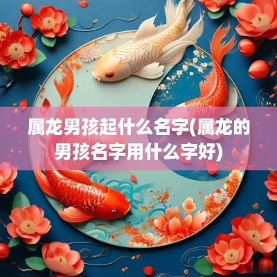 属龙男孩起什么名字(属龙的男孩名字用什么字好)