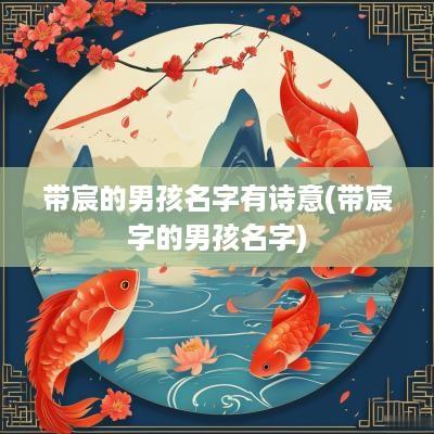 带宸的男孩名字有诗意(带宸字的男孩名字)