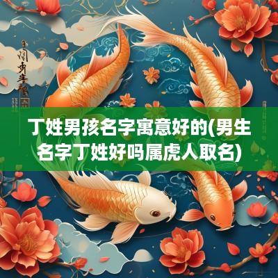 丁姓男孩名字寓意好的(男生名字丁姓好吗属虎人取名)