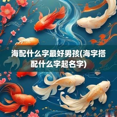 海配什么字最好男孩(海字搭配什么字起名字)