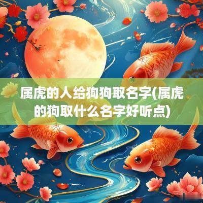 属虎的人给狗狗取名字(属虎的狗取什么名字好听点)