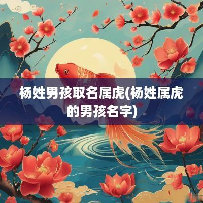杨姓男孩取名属虎(杨姓属虎的男孩名字)