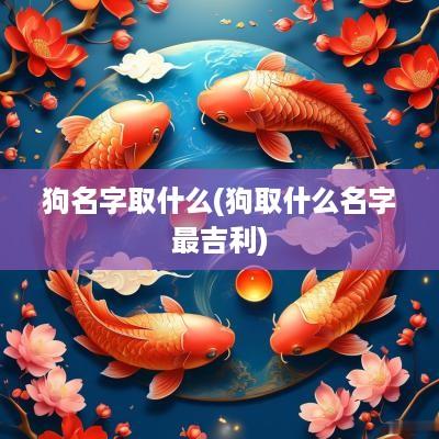 狗名字取什么(狗取什么名字最吉利)