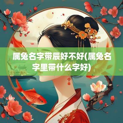 属兔名字带辰好不好(属兔名字里带什么字好)