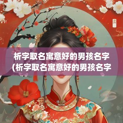 析字取名寓意好的男孩名字(析字取名寓意好的男孩名字有哪些)