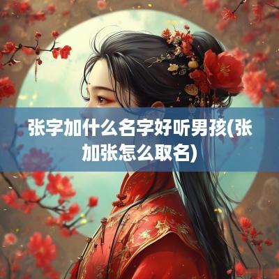 张字加什么名字好听男孩(张加张怎么取名)