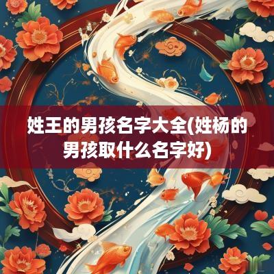 姓王的男孩名字大全(姓杨的男孩取什么名字好)
