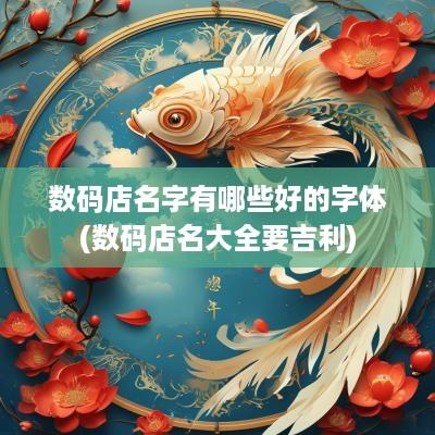 数码店名字有哪些好的字体(数码店名大全要吉利)